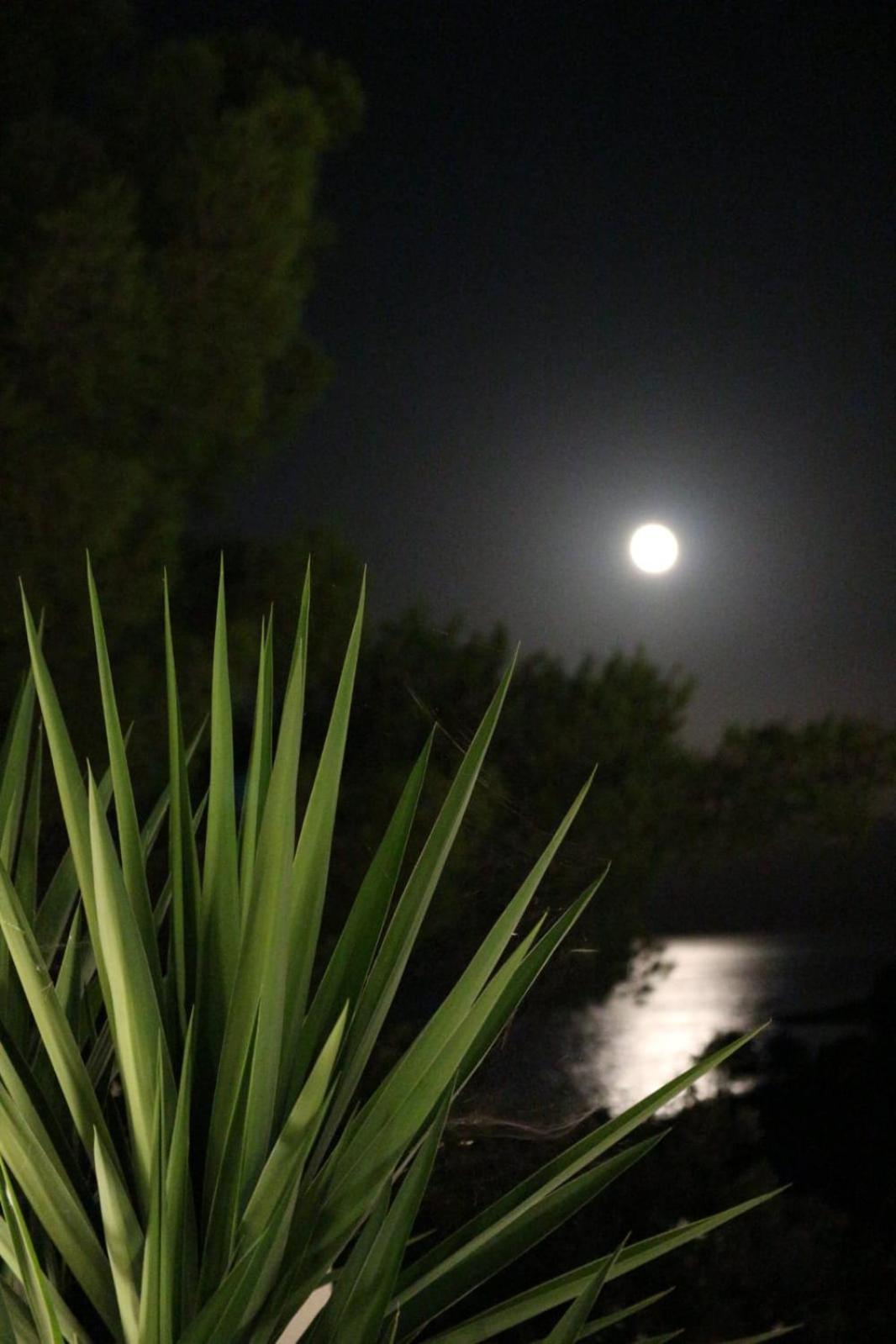 Holiday Hvar Vrbanj المظهر الخارجي الصورة