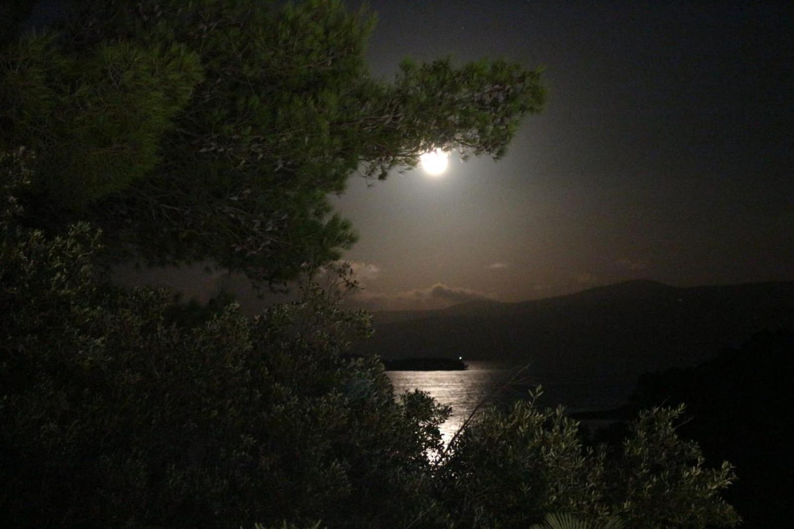 Holiday Hvar Vrbanj المظهر الخارجي الصورة